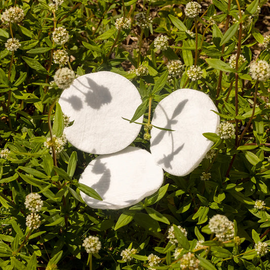 Sky Organics Organic Cotton Rounds GOTS Certified (1 pack)