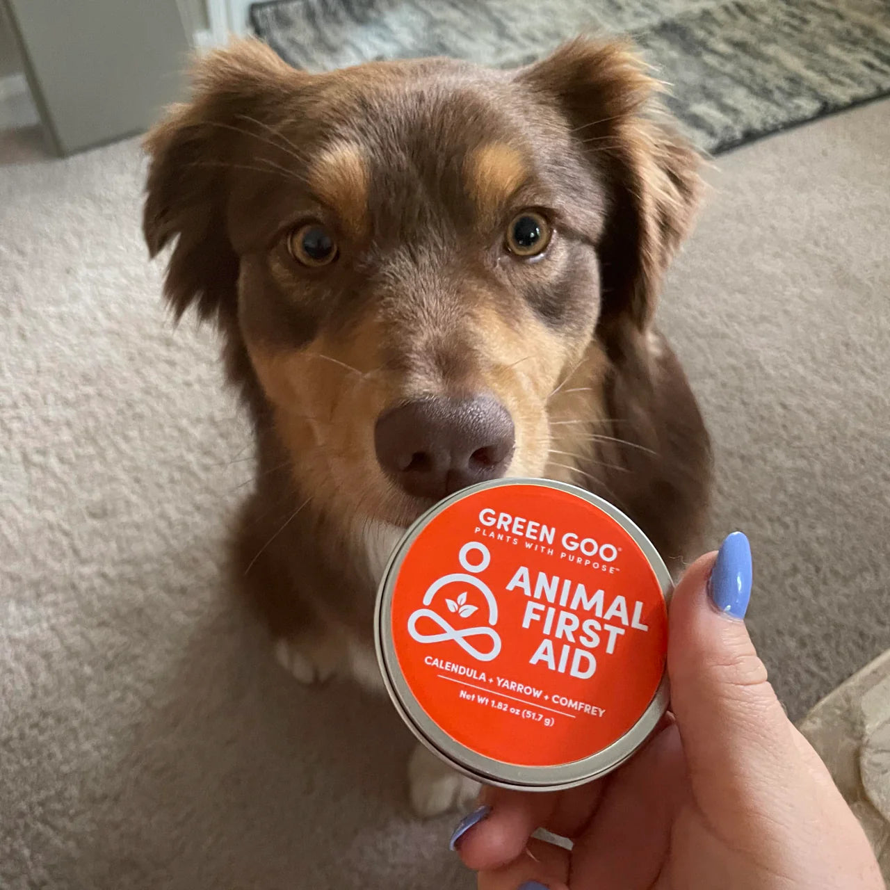 Green Goo Animal First Aid
