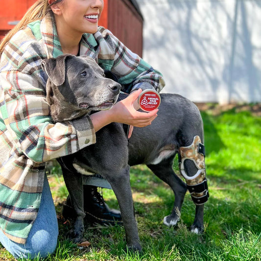 Green Goo Animal Pain Relief