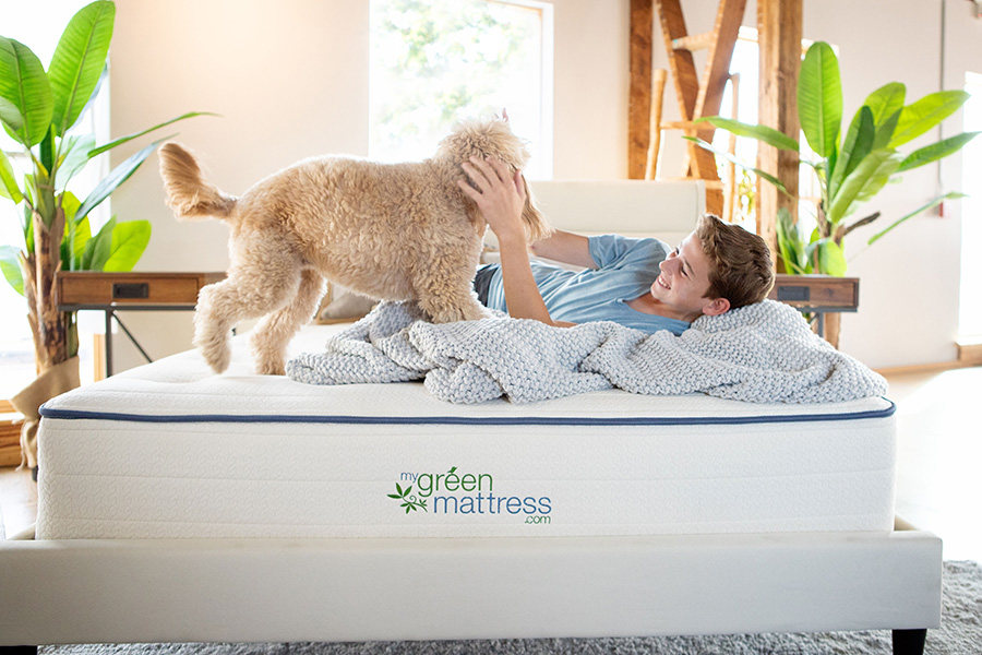 My Green Mattress Kiwi Organic Mattress