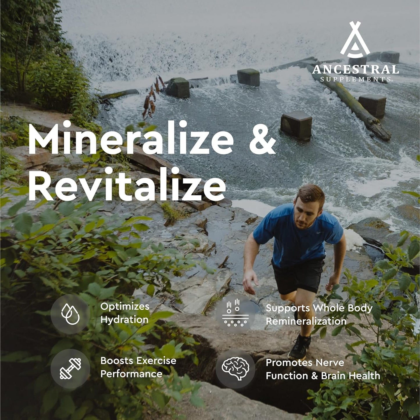 Ancestral Supplements Minerals
