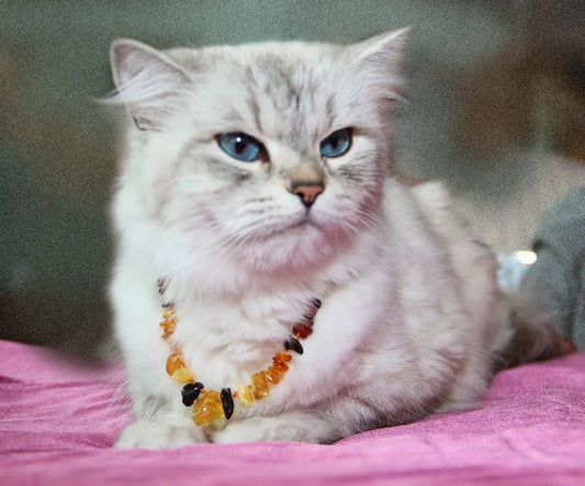 Baltic Essentials Amber Repel Flea and Tick Collar Raw Multi (Dog, Cat, Pet)