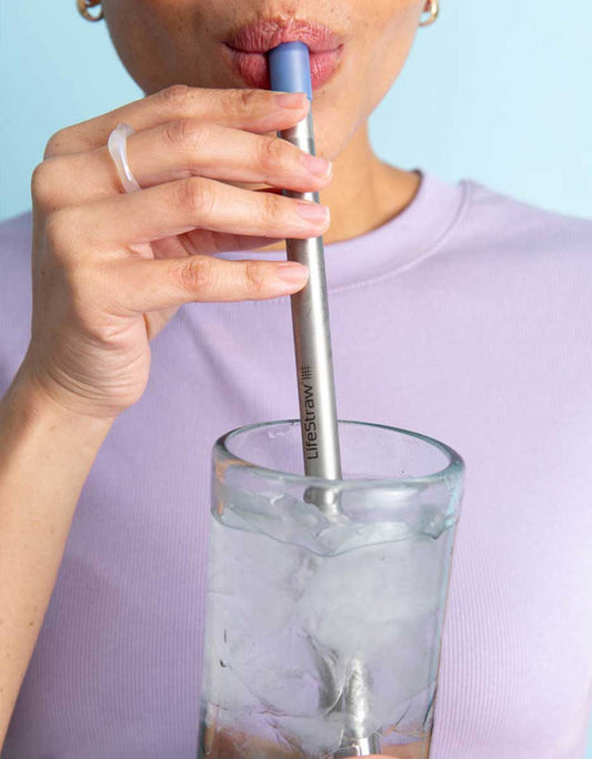 LifeStraw Stainless Steel Straw