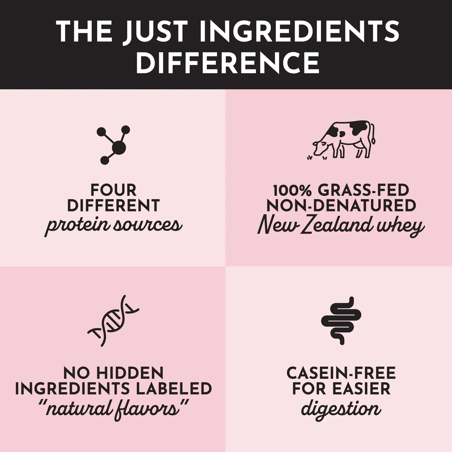 Just Ingredients Protein Powder (Strawberries and Cream)