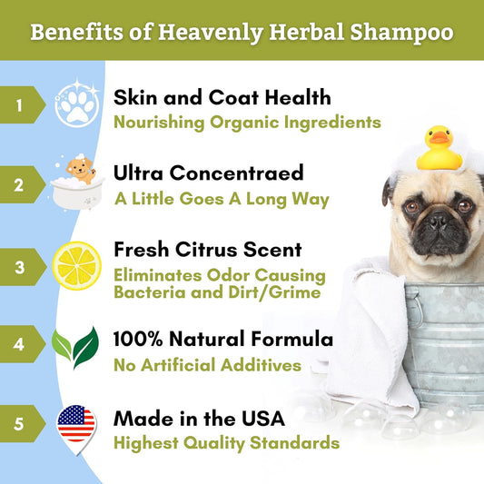 Wholistic Pet Shampoo 8oz
