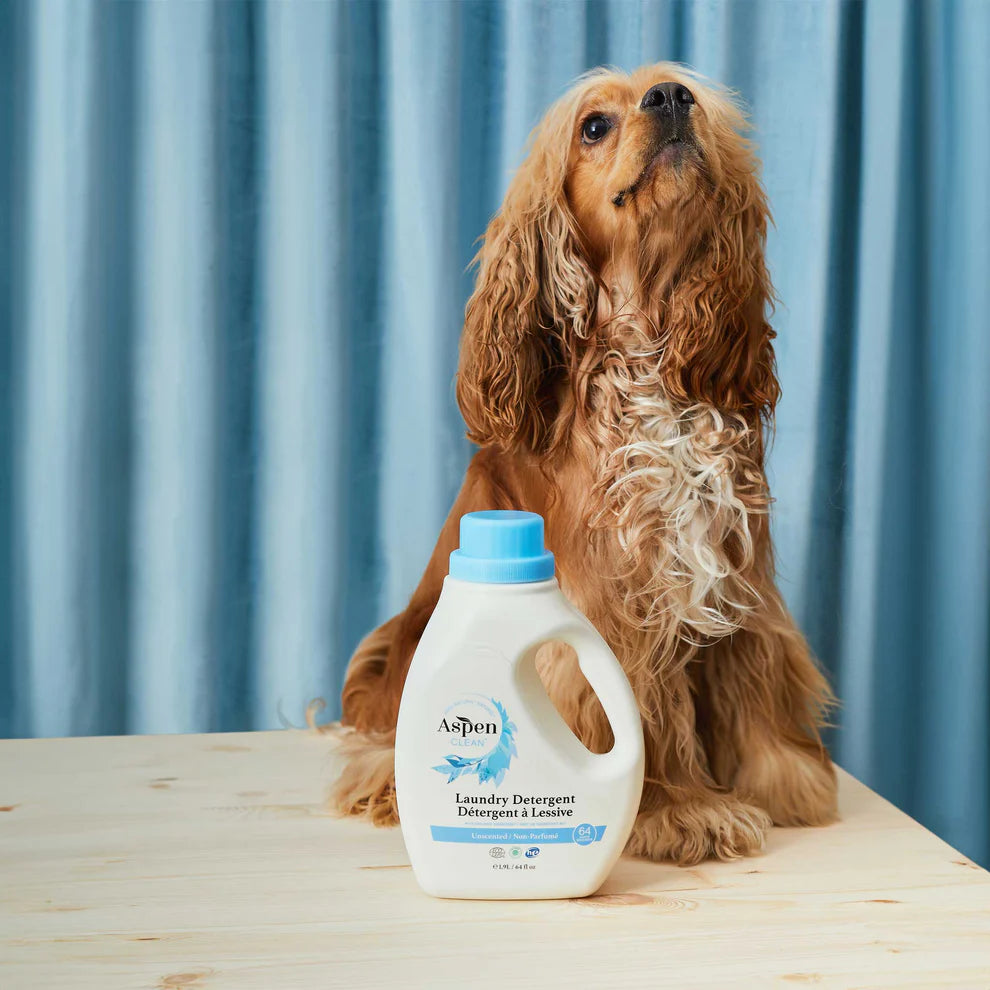 Aspen Laundry Detergent (Unscented)