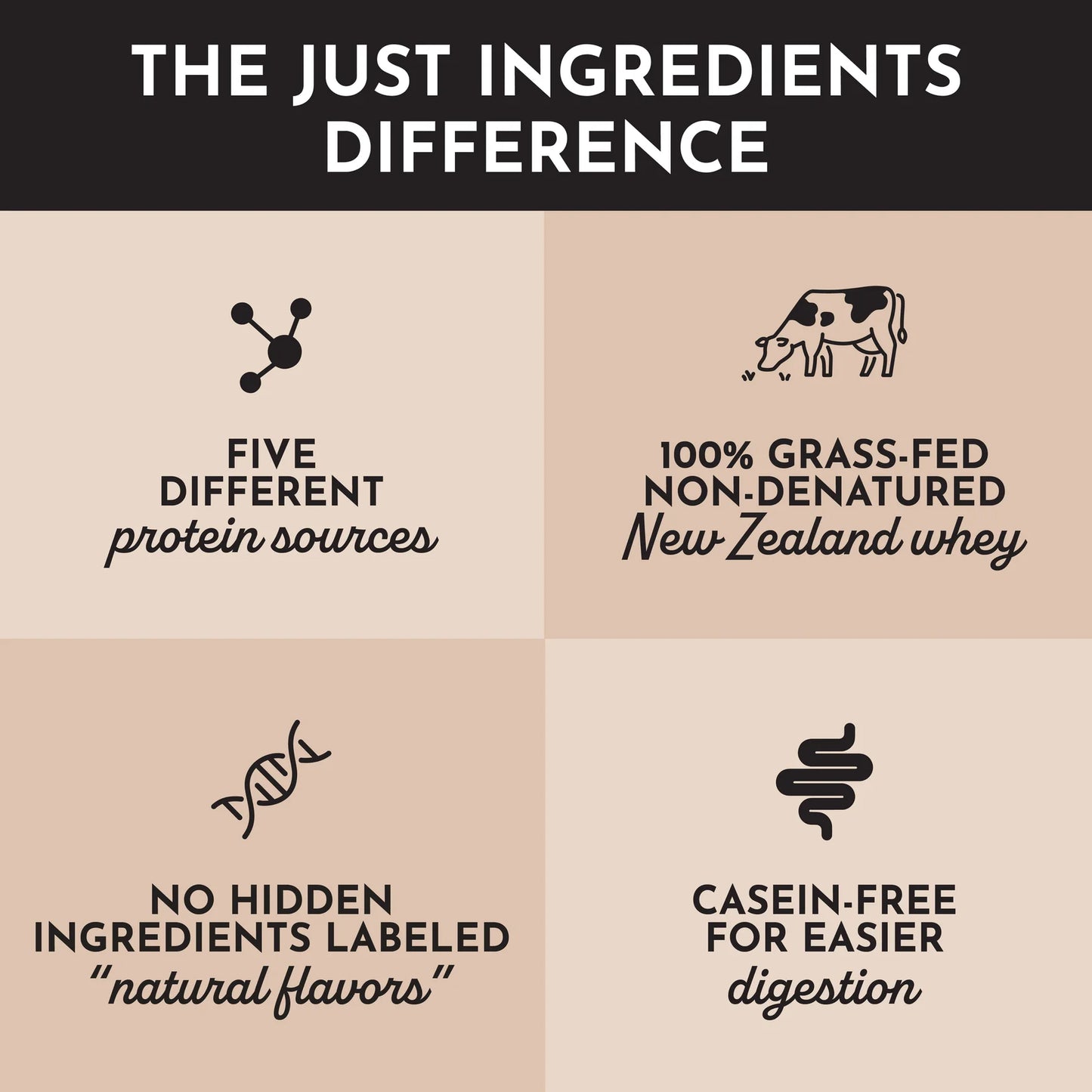 Just Ingredients Protein Powder (Creamy Peanut Butter Chocolate)