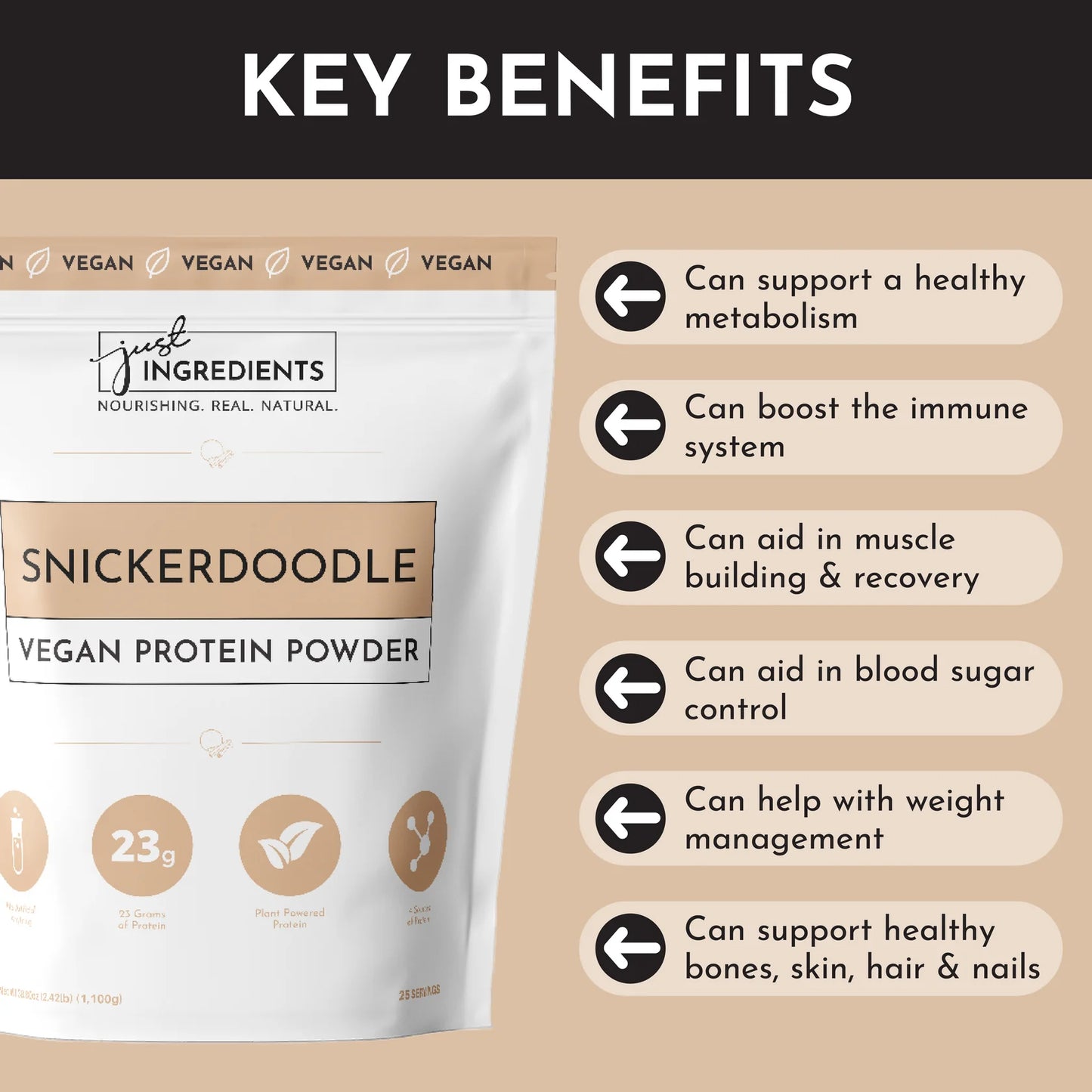 Just Ingredients VEGAN Protein Powder (Snickerdoodle)