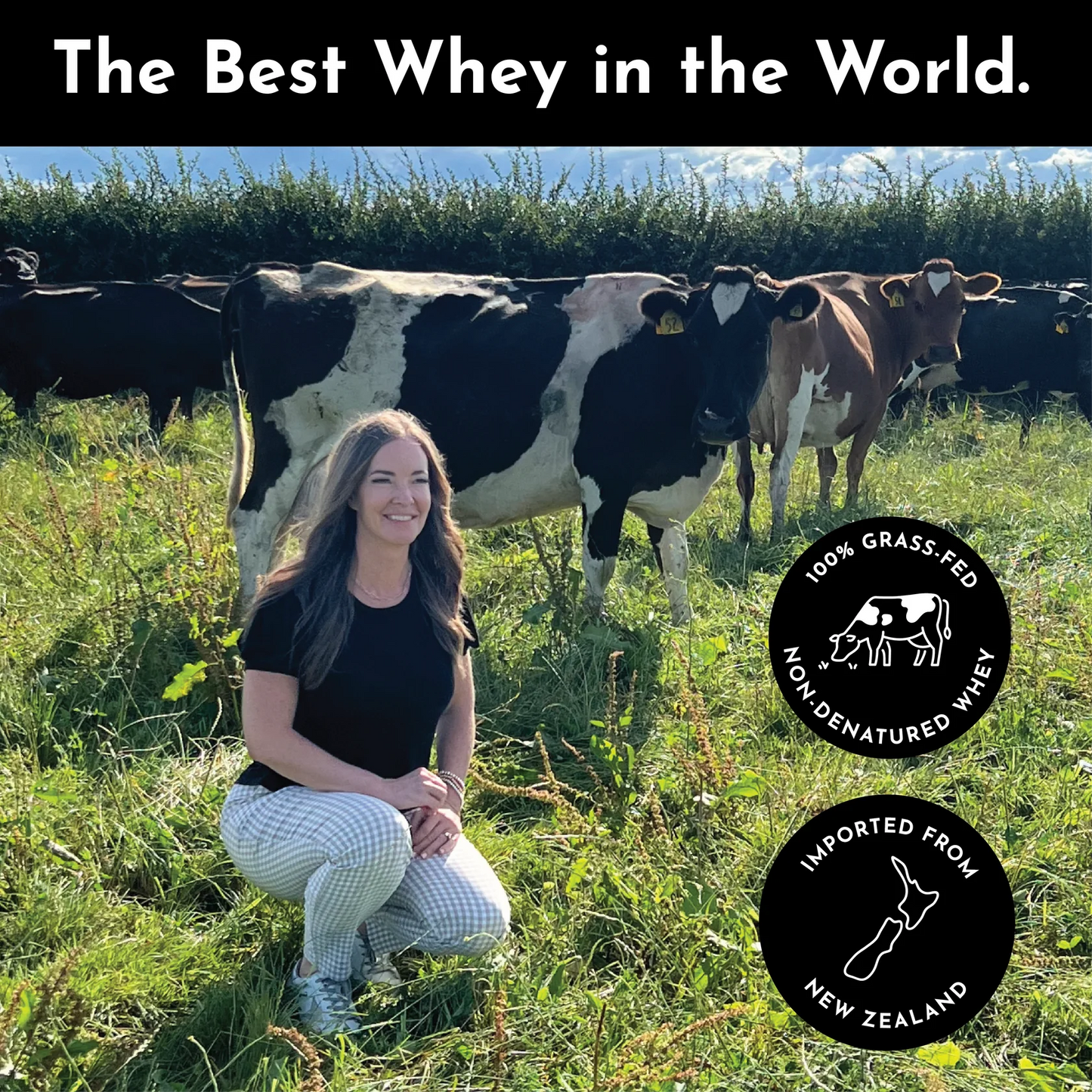 Just Ingredients Protein Powder (Salted Caramel)