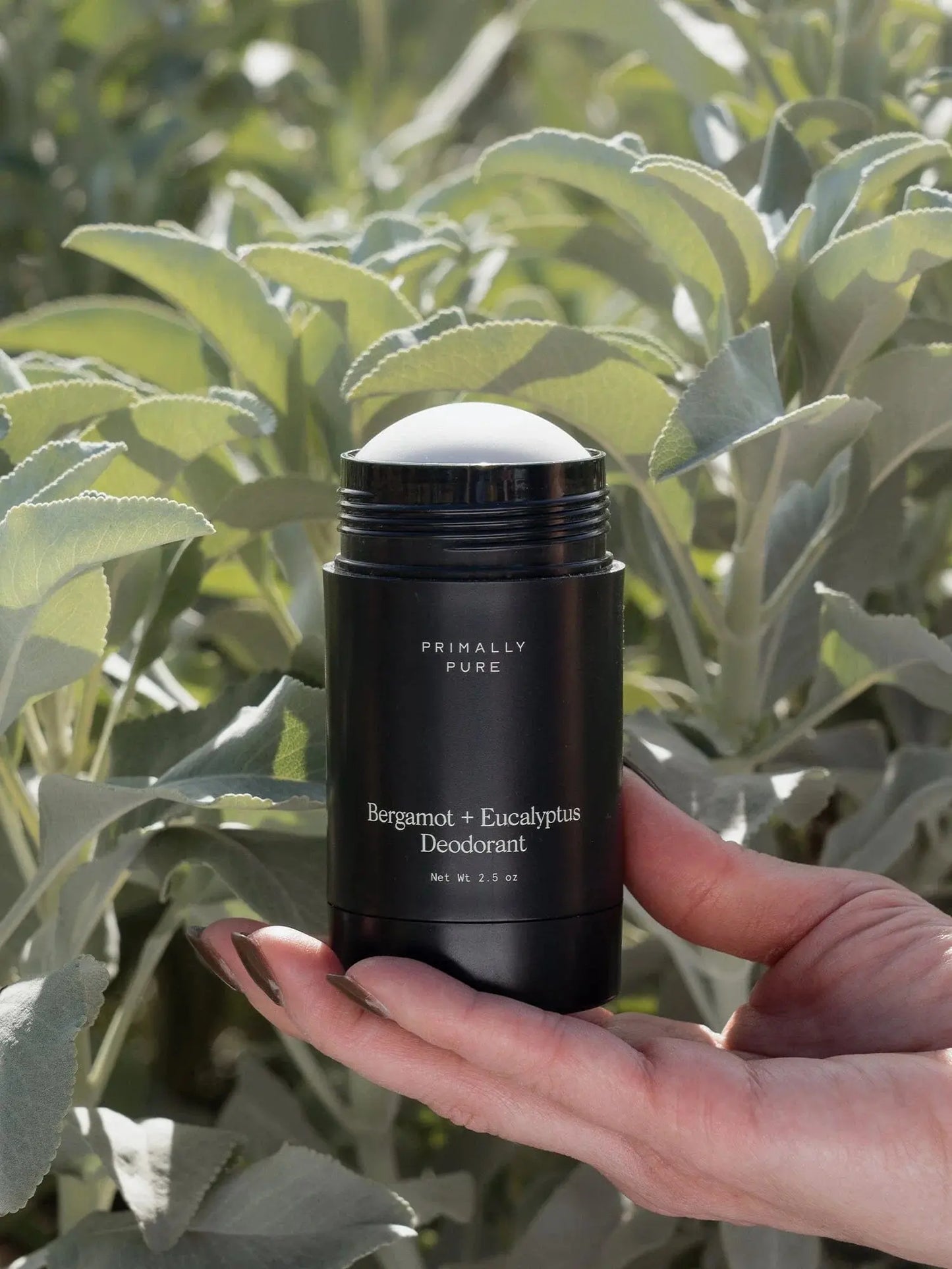 All Primally Pure Deodorant - Essentiallydestinyy