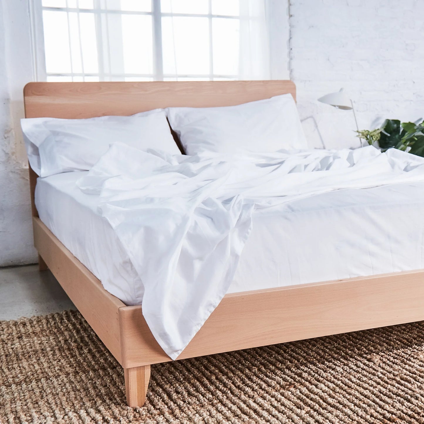 Avocado Organic Sheets