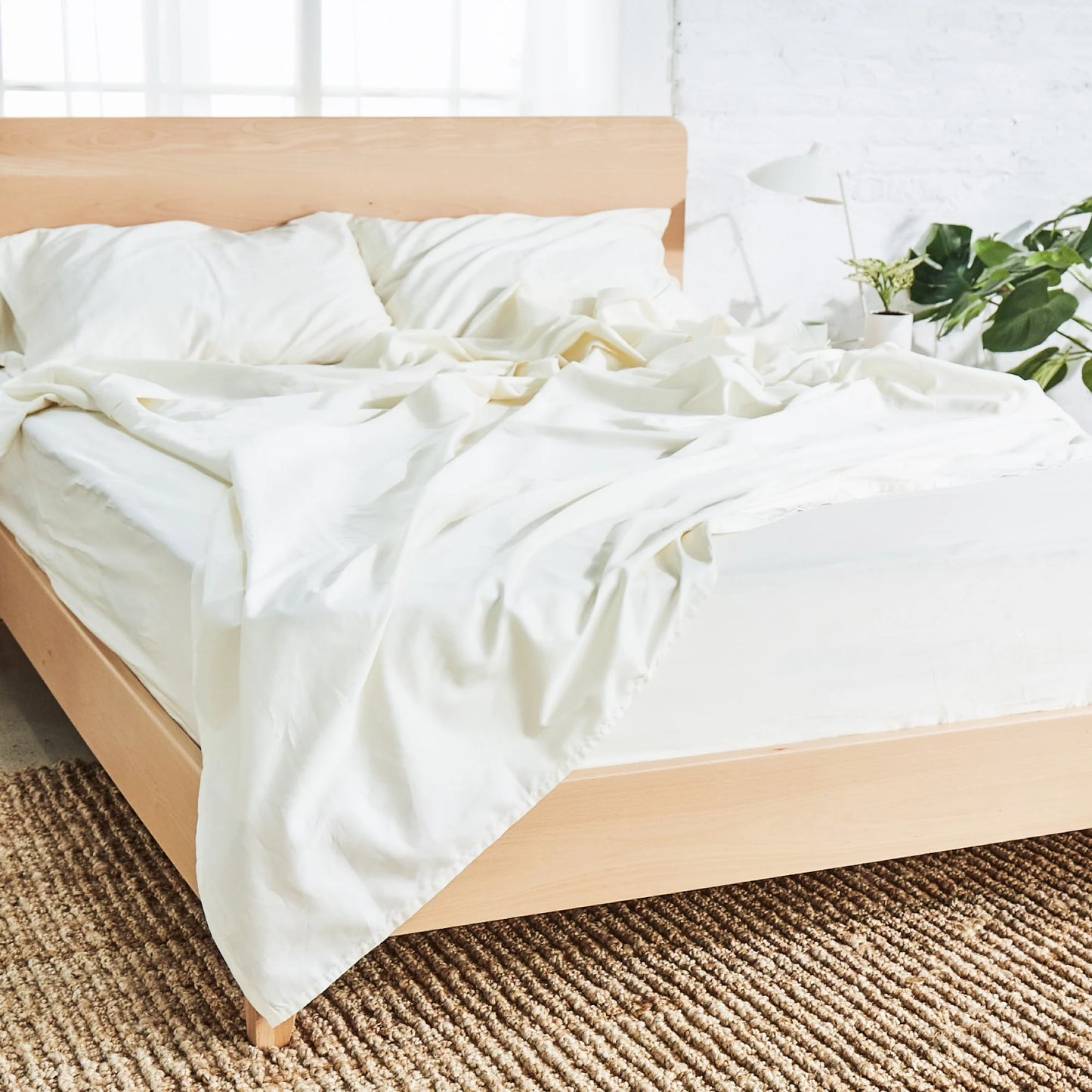 Avocado Organic Sheets