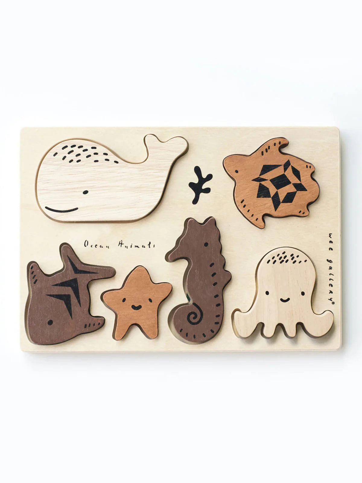 Colored Organics Toys
