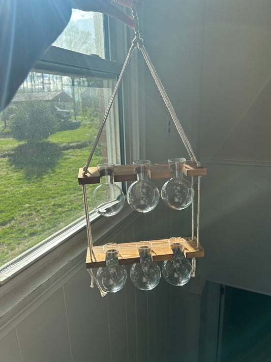 Renmxj Plant Propagation Station Wall Hanging