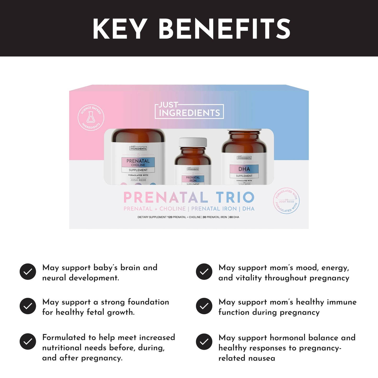 Just Ingredients Prenatal (+ Choline) + DHA + Iron (Gift Box) - Essentiallydestinyy