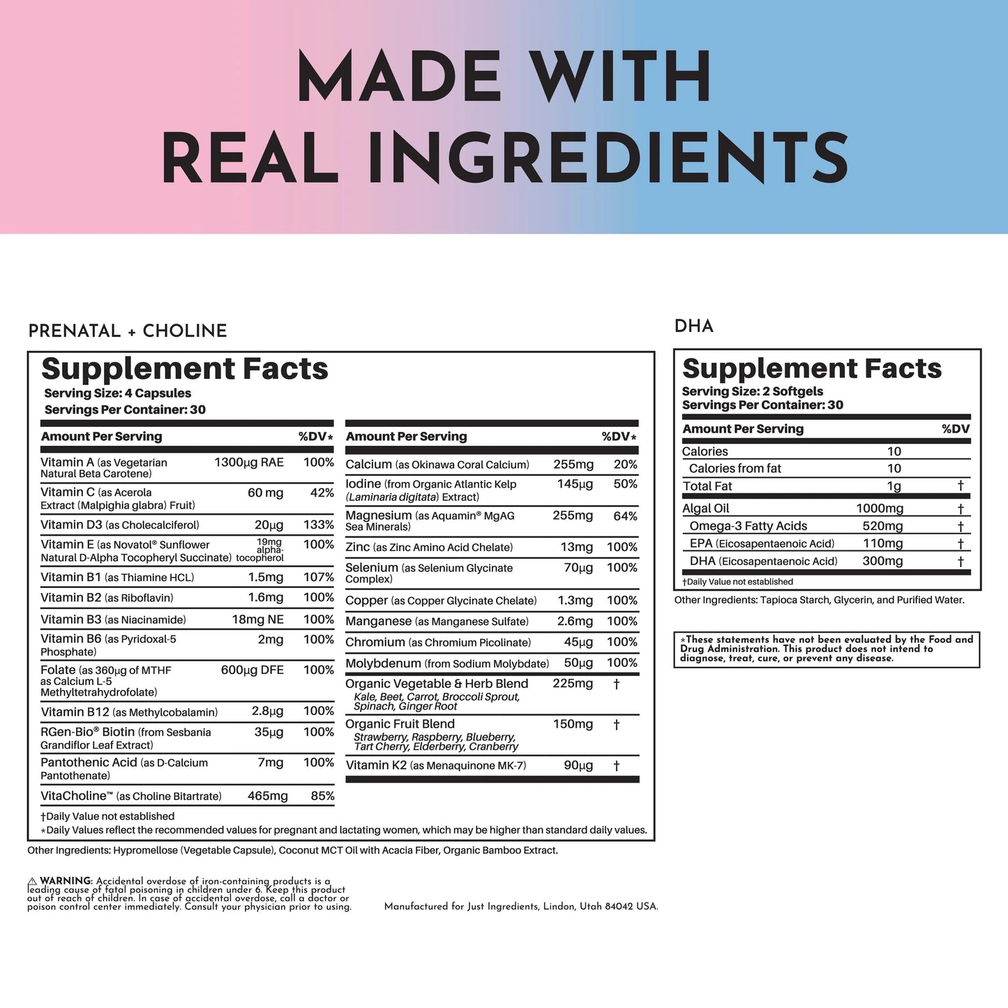 Just Ingredients Prenatal + DHA - Essentiallydestinyy