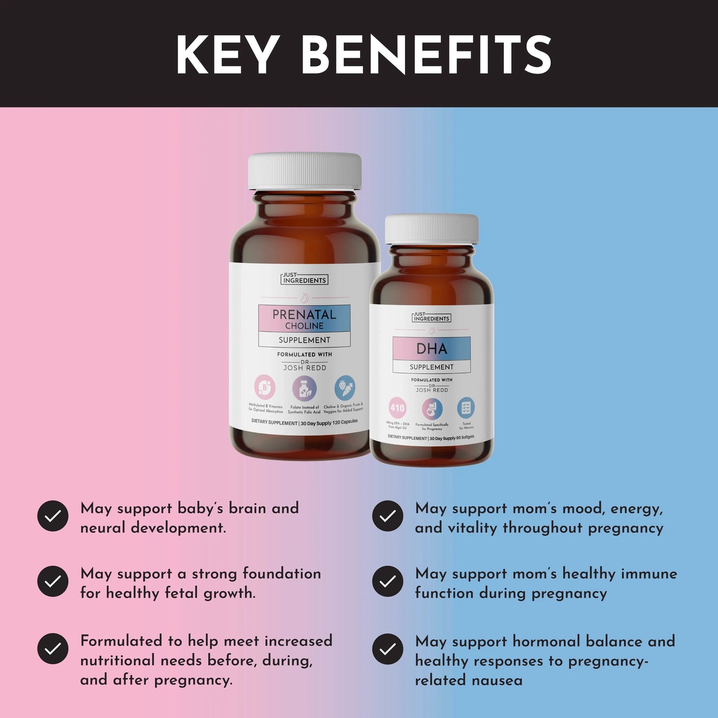 Just Ingredients Prenatal + DHA - Essentiallydestinyy