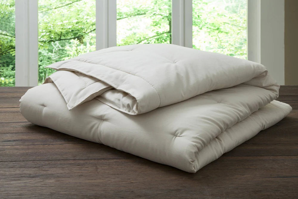 PlushBeds Comforters