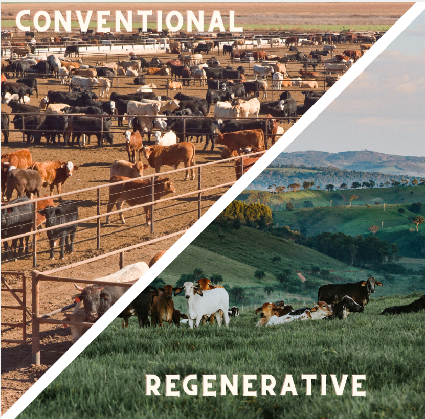 About Regenerative Farming