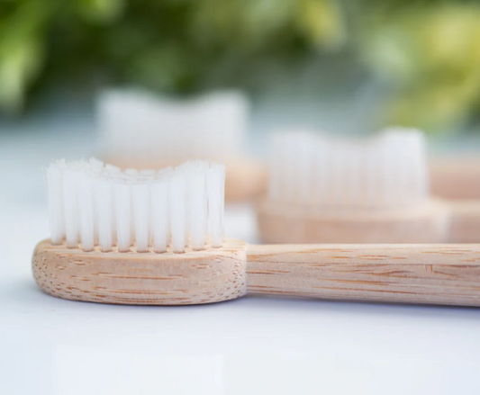 Wellnesse Adult Bamboo Toothbrush