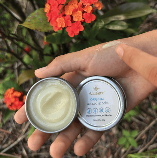 Waxelene Aerated Lip Balm