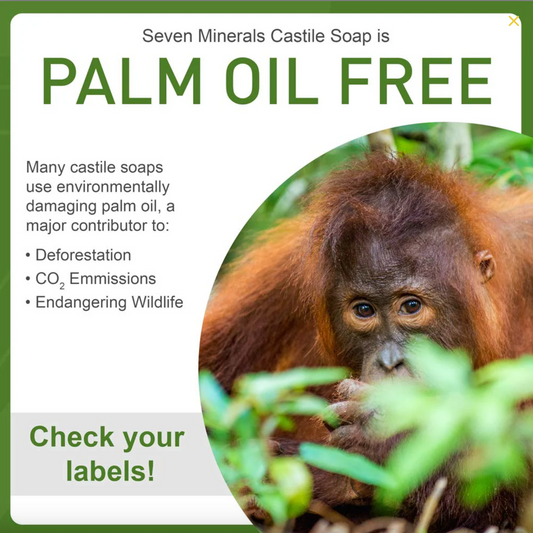 Seven Minerals Castile Soap (Mandarin Basil)