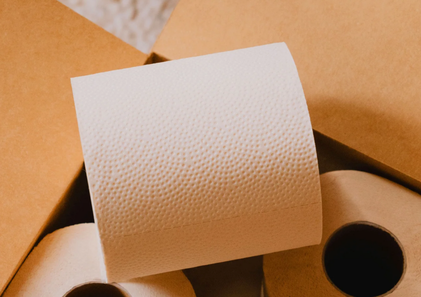 Plant Paper Toilet Paper