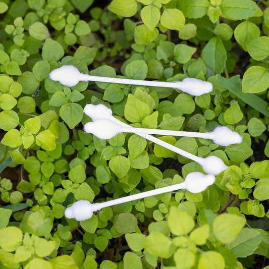 Sky Organics Organic Baby Cotton Swabs