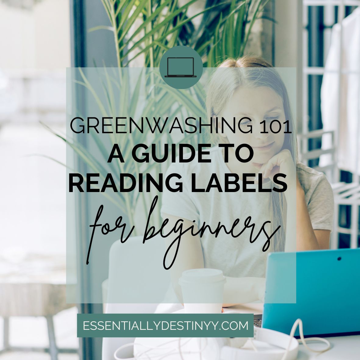 Greenwashing 101 eBook
