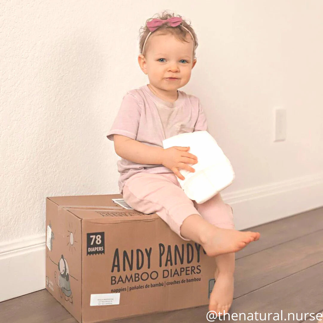 AndyPandy Bamboo Diapers