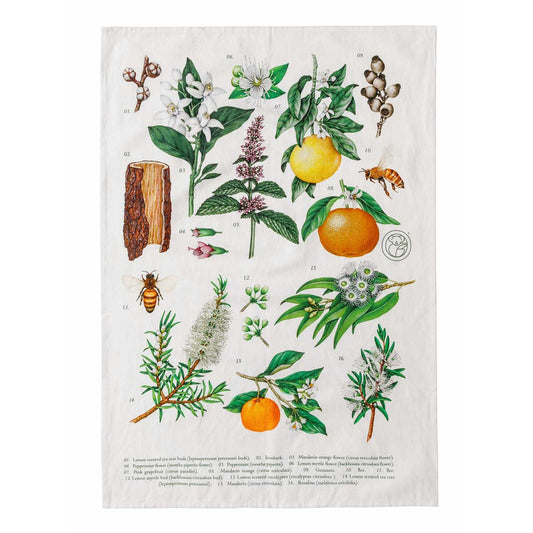 Koala Eco Terra Botanical Tea Towel