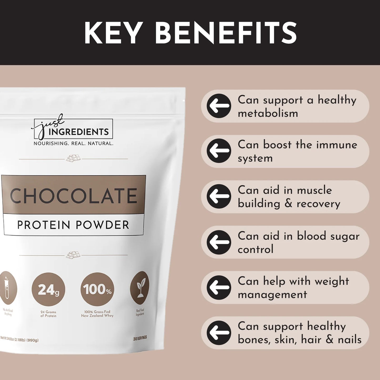 Just Ingredients Protein Powder (Chocolate)