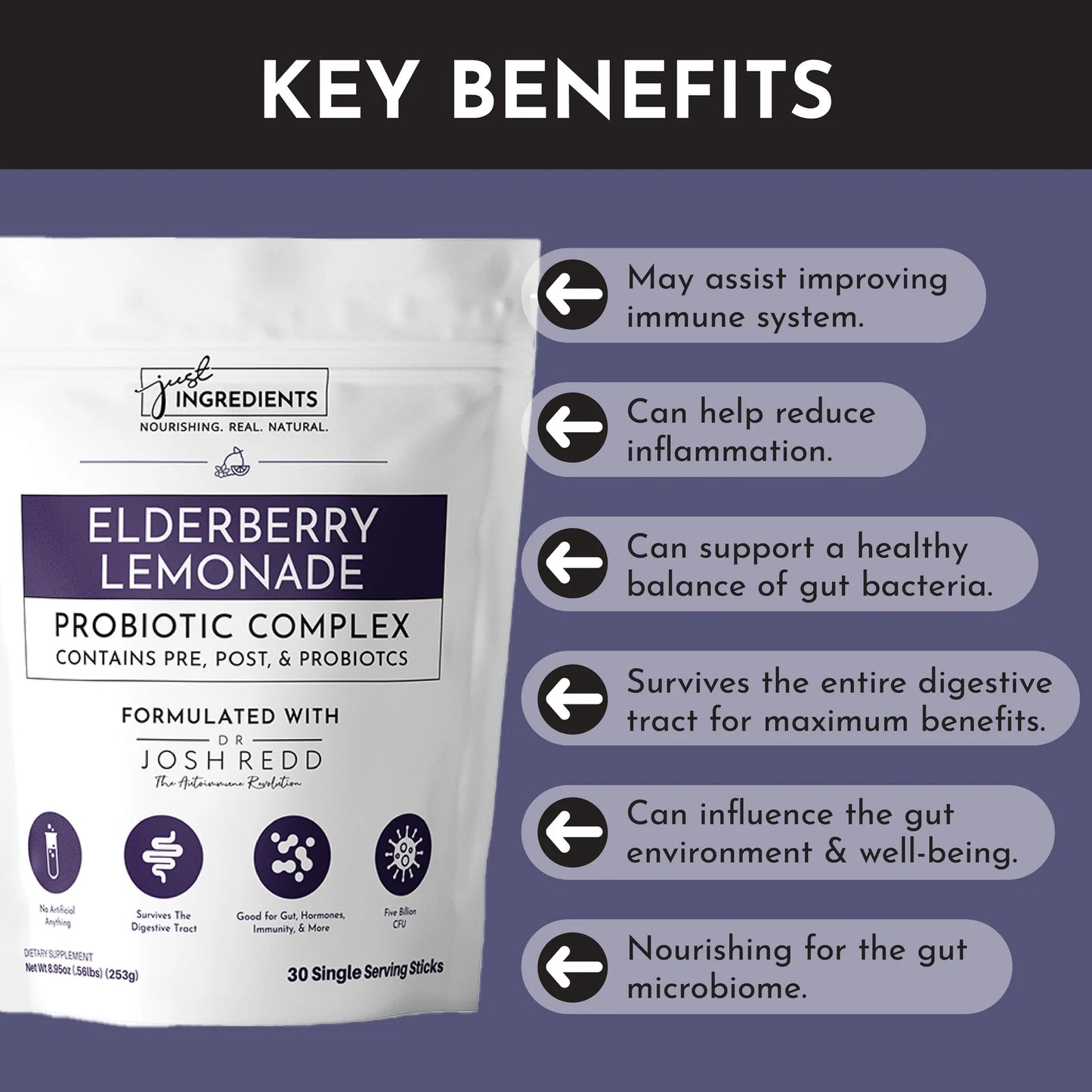 Just Ingredients Elderberry Lemonade 3-In-1 Probiotic Complex