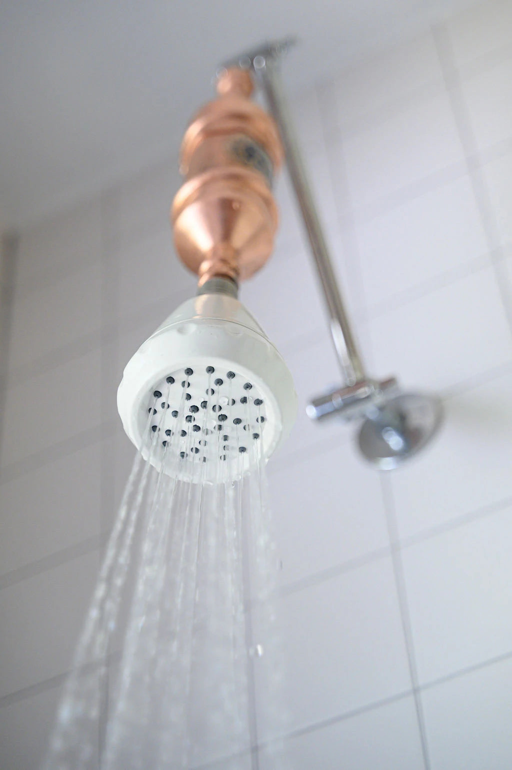 Greenfield Structured Shower Filter (and Vortexer)