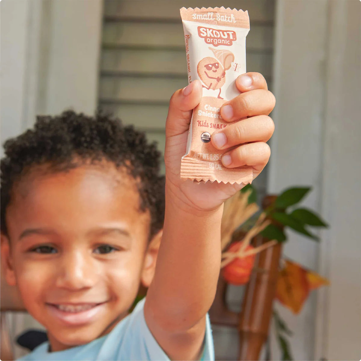 Skout Organic Kids Snack Bars, Protein Bars, and Cookies