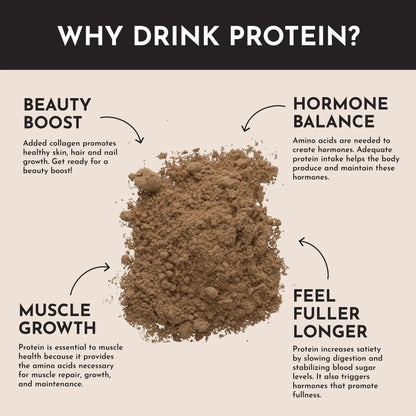 Just Ingredients Protein Powder (Chocolate)