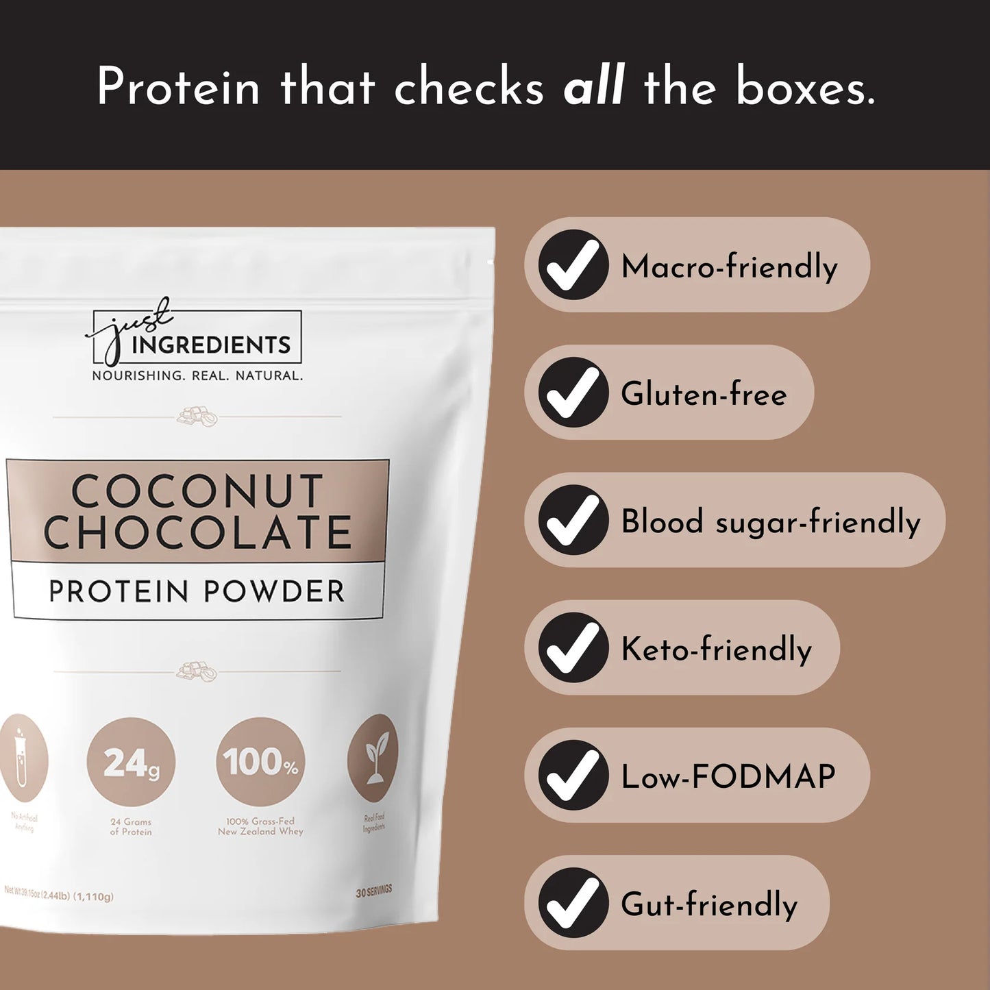 Just Ingredients Protein Powder (Coconut Chocolate)