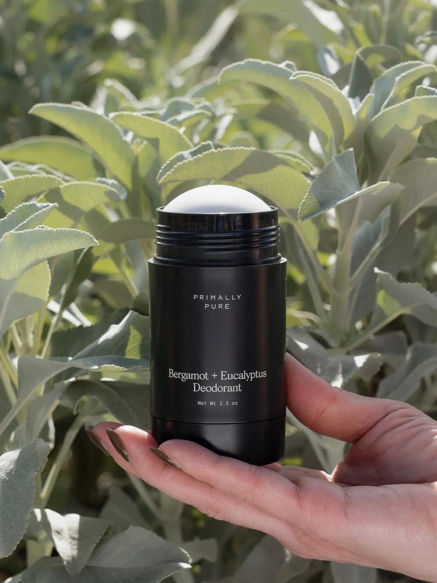 All Primally Pure Deodorant - Essentiallydestinyy