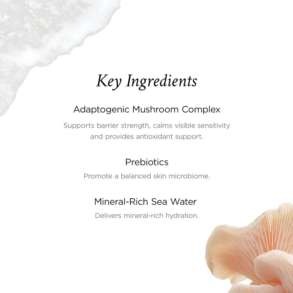 Crunchi | Adaptogen Facial Cream - Essentiallydestinyy