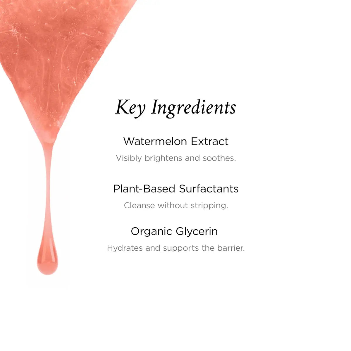 Crunchi | Gentle Facial Cleanser - Essentiallydestinyy