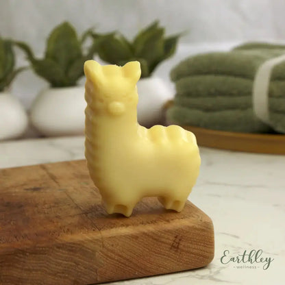 Earthley Kids Gentle Body Soap - Essentiallydestinyy