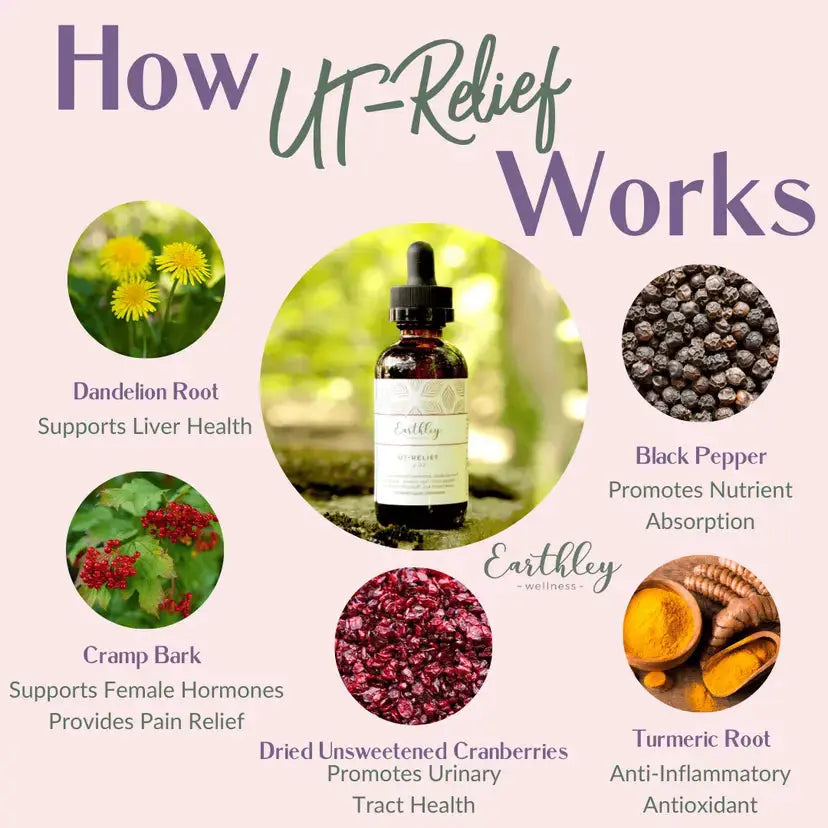 Earthleys UT Support (Urinary Tract Infection) - Essentiallydestinyy