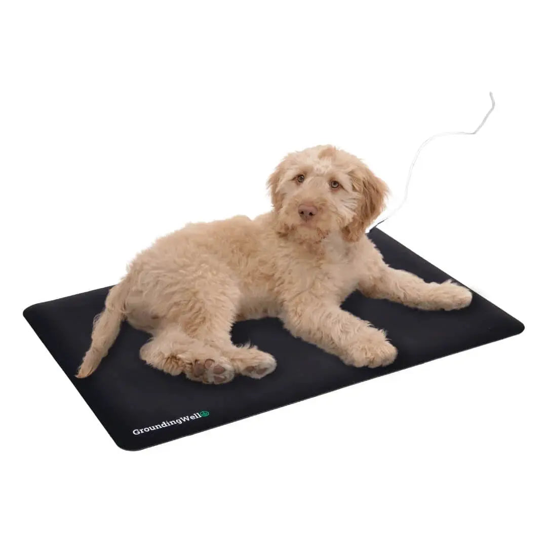 GroundingWell Mat for Pets - Essentiallydestinyy