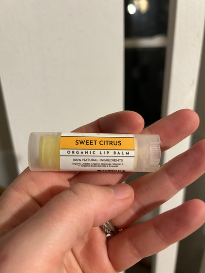 Just Ingredients Sweet Citrus Organic Lip Balm
