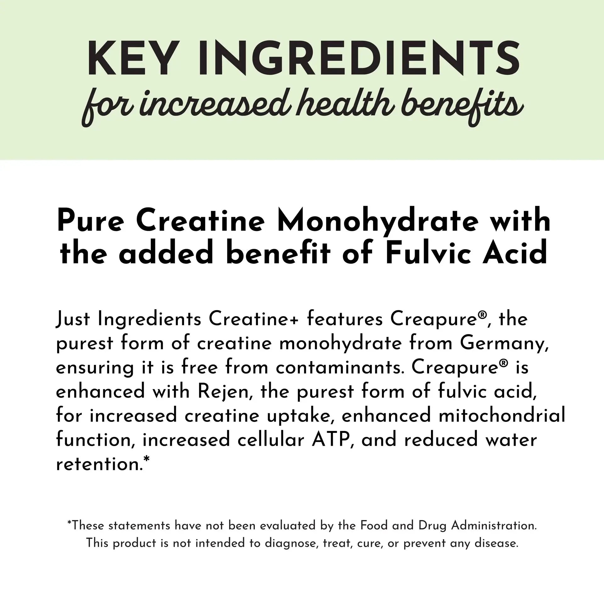 Just Ingredients Creatine+ - Essentiallydestinyy