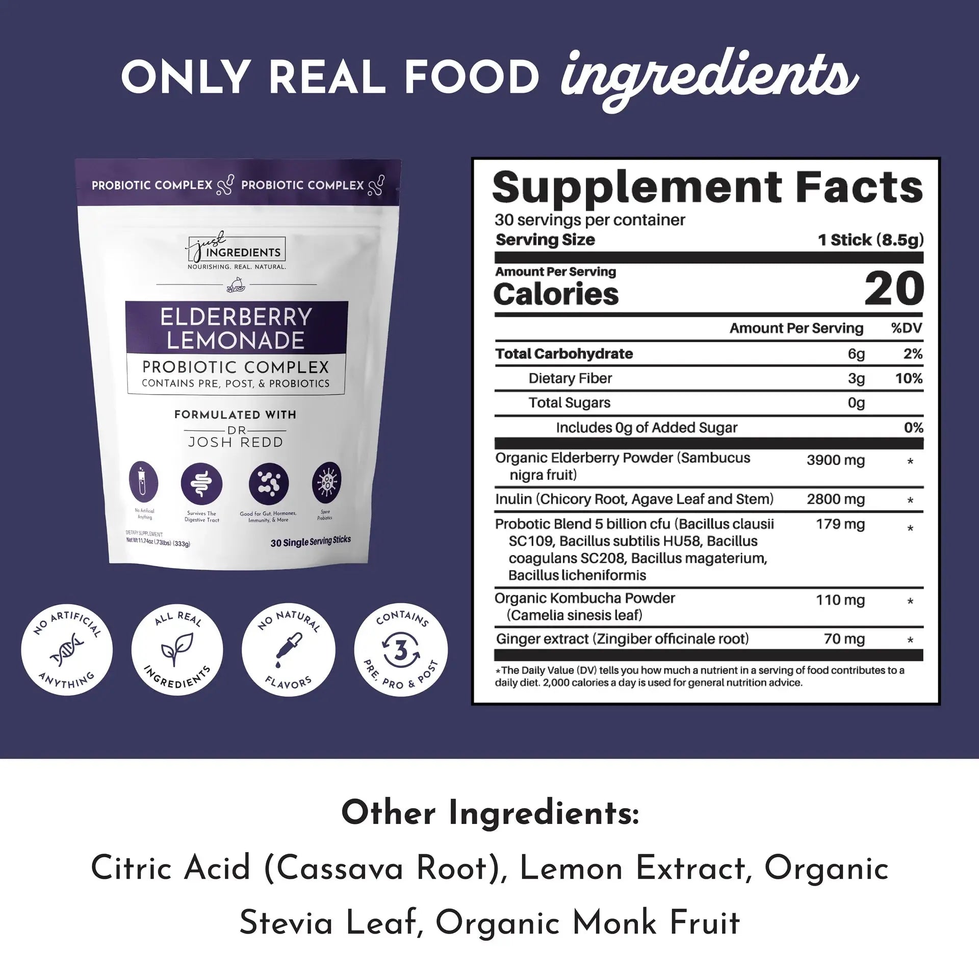 Just Ingredients Elderberry Lemonade 3-In-1 Probiotic Complex - Essentiallydestinyy