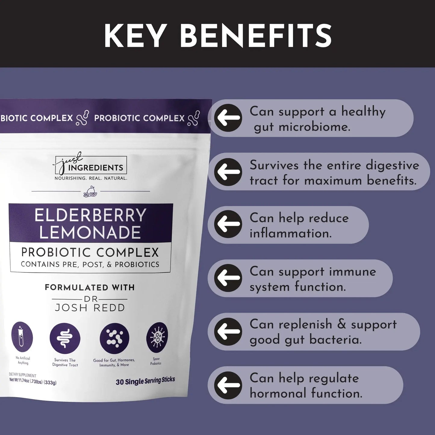 Just Ingredients Elderberry Lemonade 3-In-1 Probiotic Complex - Essentiallydestinyy