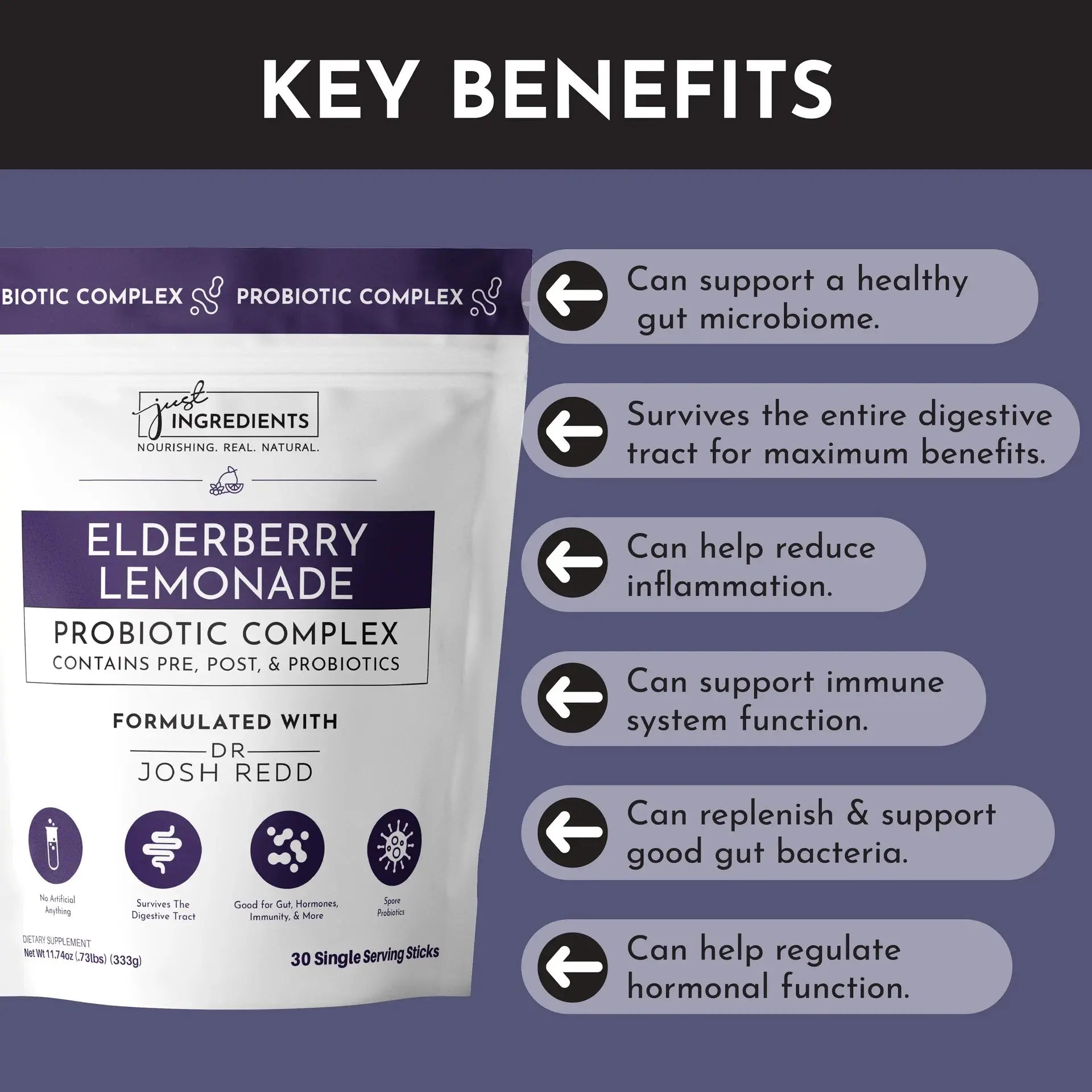 Just Ingredients Elderberry Lemonade 3-In-1 Probiotic Complex - Essentiallydestinyy