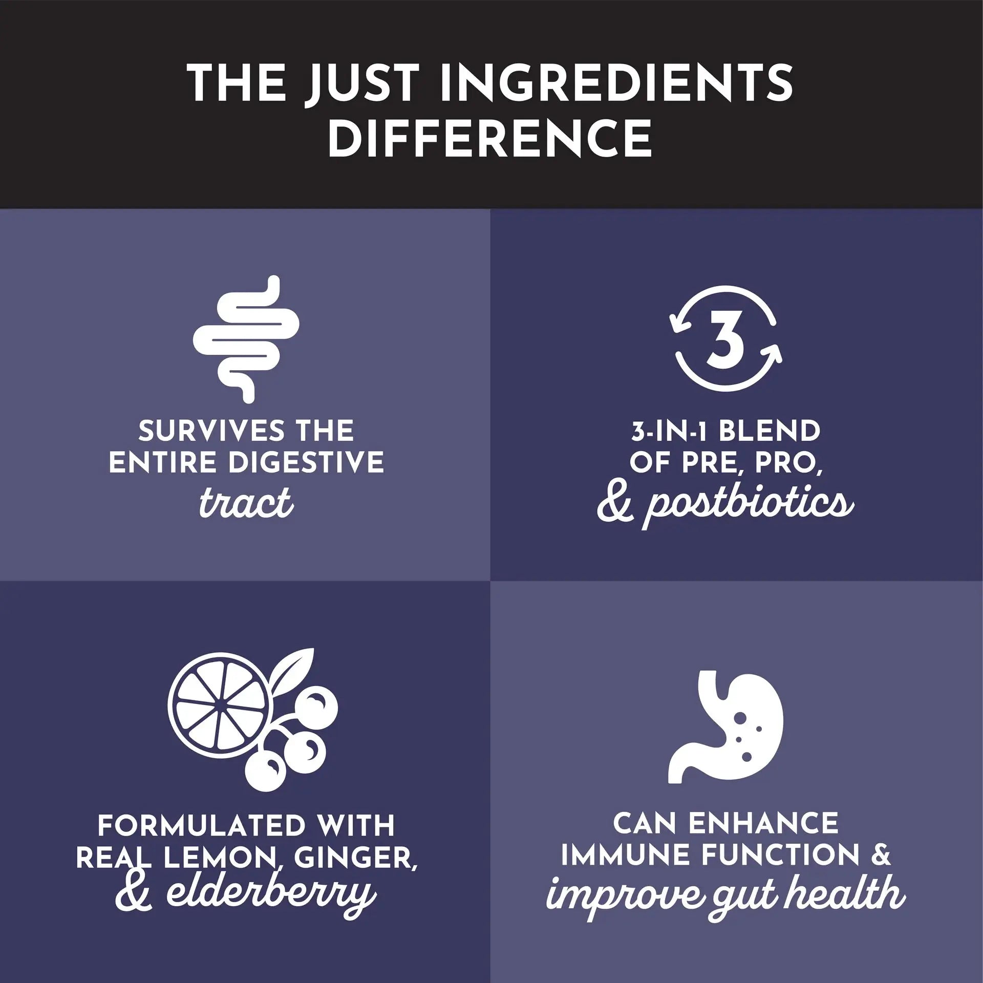 Just Ingredients Elderberry Lemonade 3-In-1 Probiotic Complex - Essentiallydestinyy