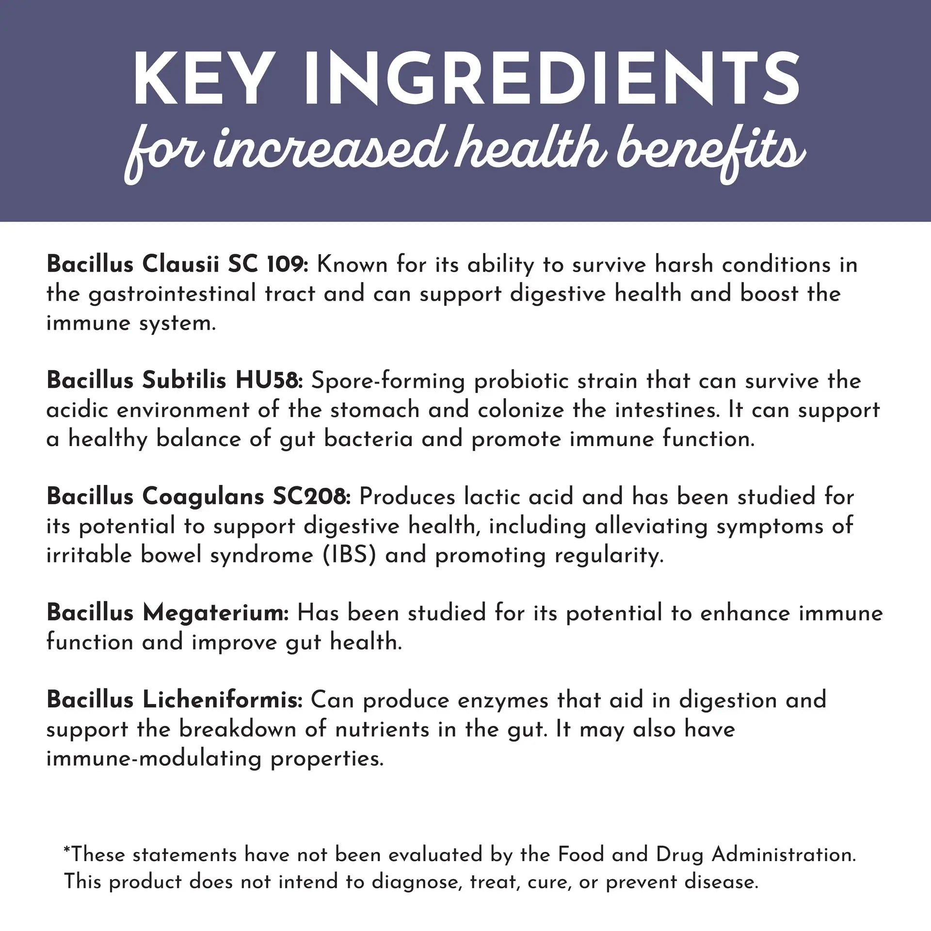 Just Ingredients Elderberry Lemonade 3-In-1 Probiotic Complex - Essentiallydestinyy